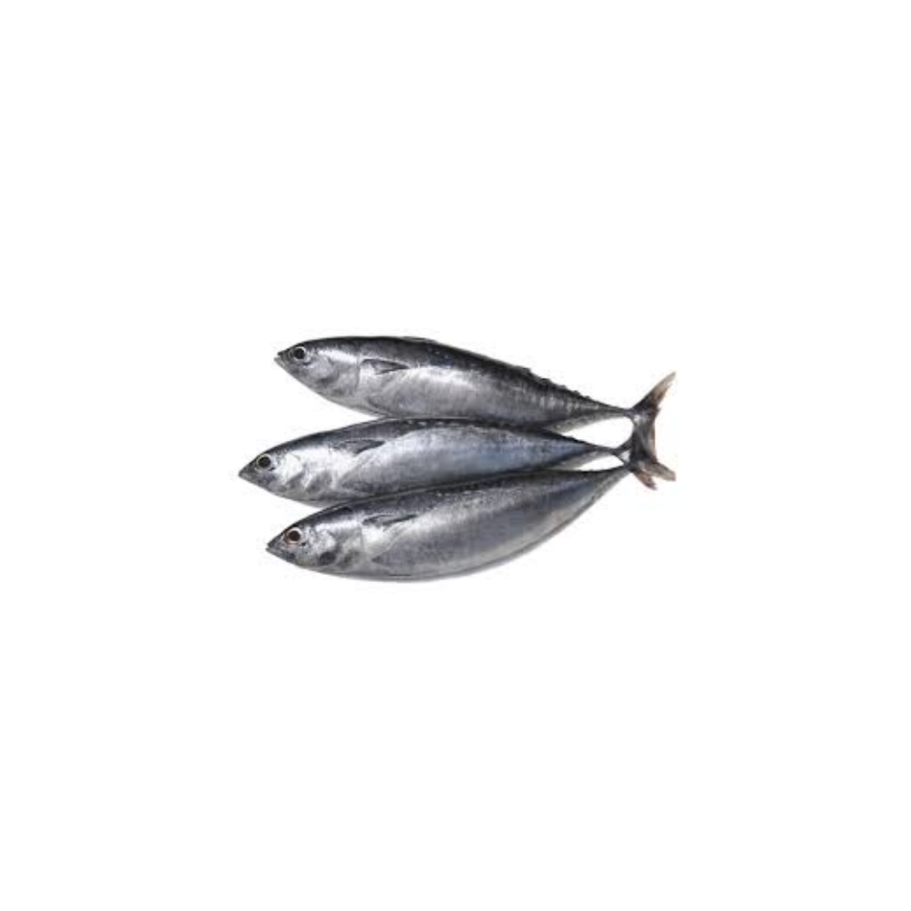 BULLET TUNA (TULINGA) WR 200-300 VP 500G