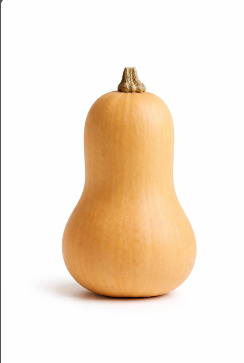 C-BUTTERNUT SQUASH BC 40 LBS