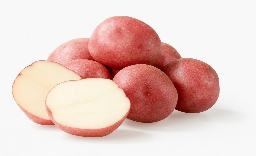 Product 9049239617741 Image