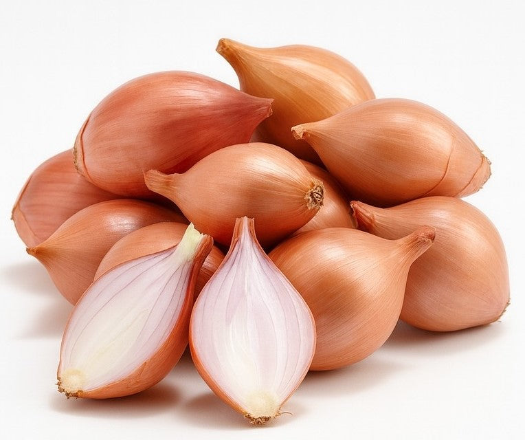 Product 9053404528845 Image