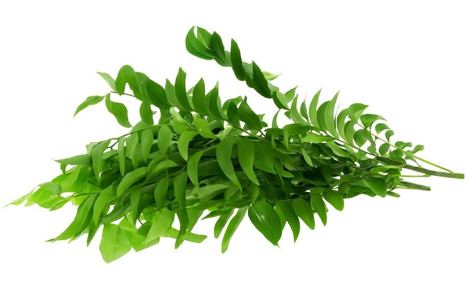 Product 9049241190605 Image