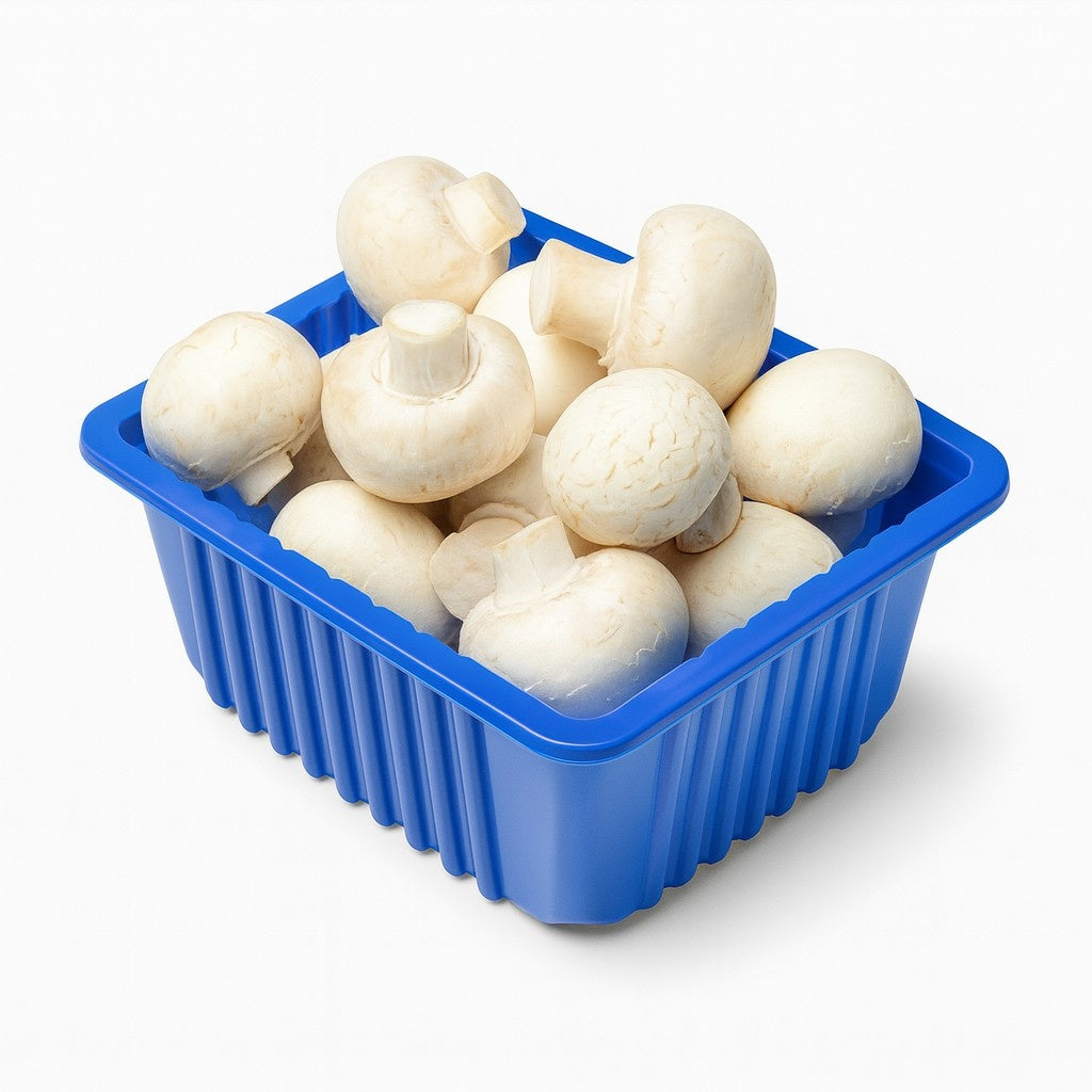 Product 9055708152013 Image