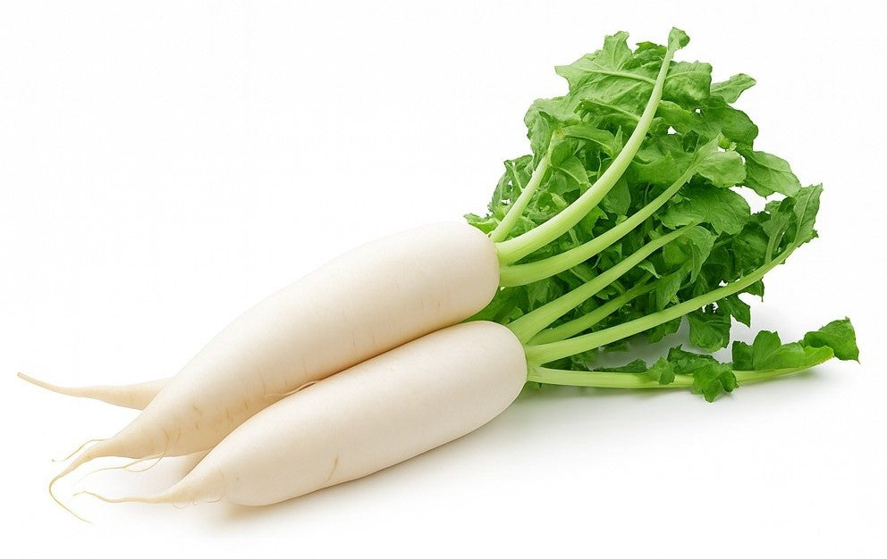 Product 9049239421133 Image