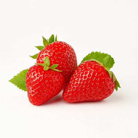 Product 9049238733005 Image