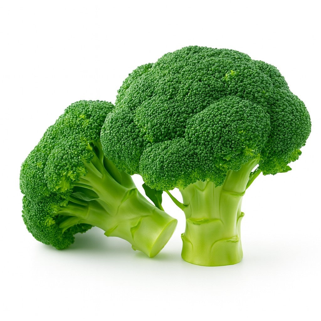 Product 9049239584973 Image