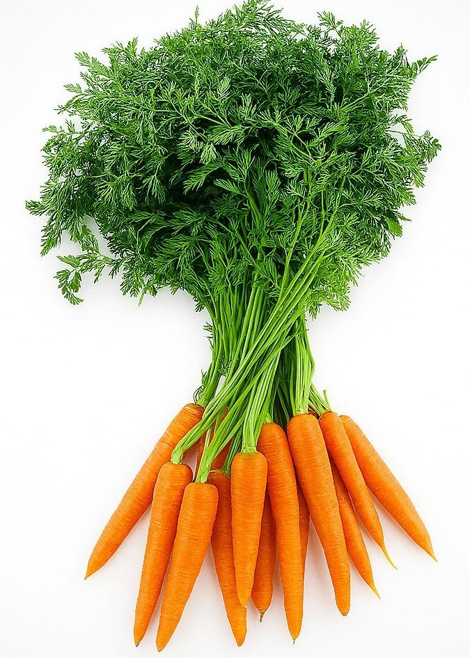 Product 9049240830157 Image