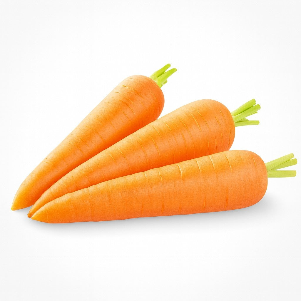 Product 9049239781581 Image