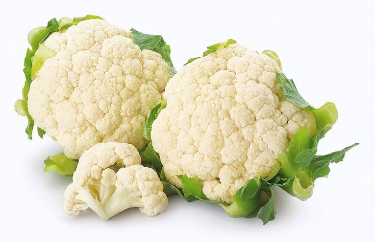 Product 9049238896845 Image