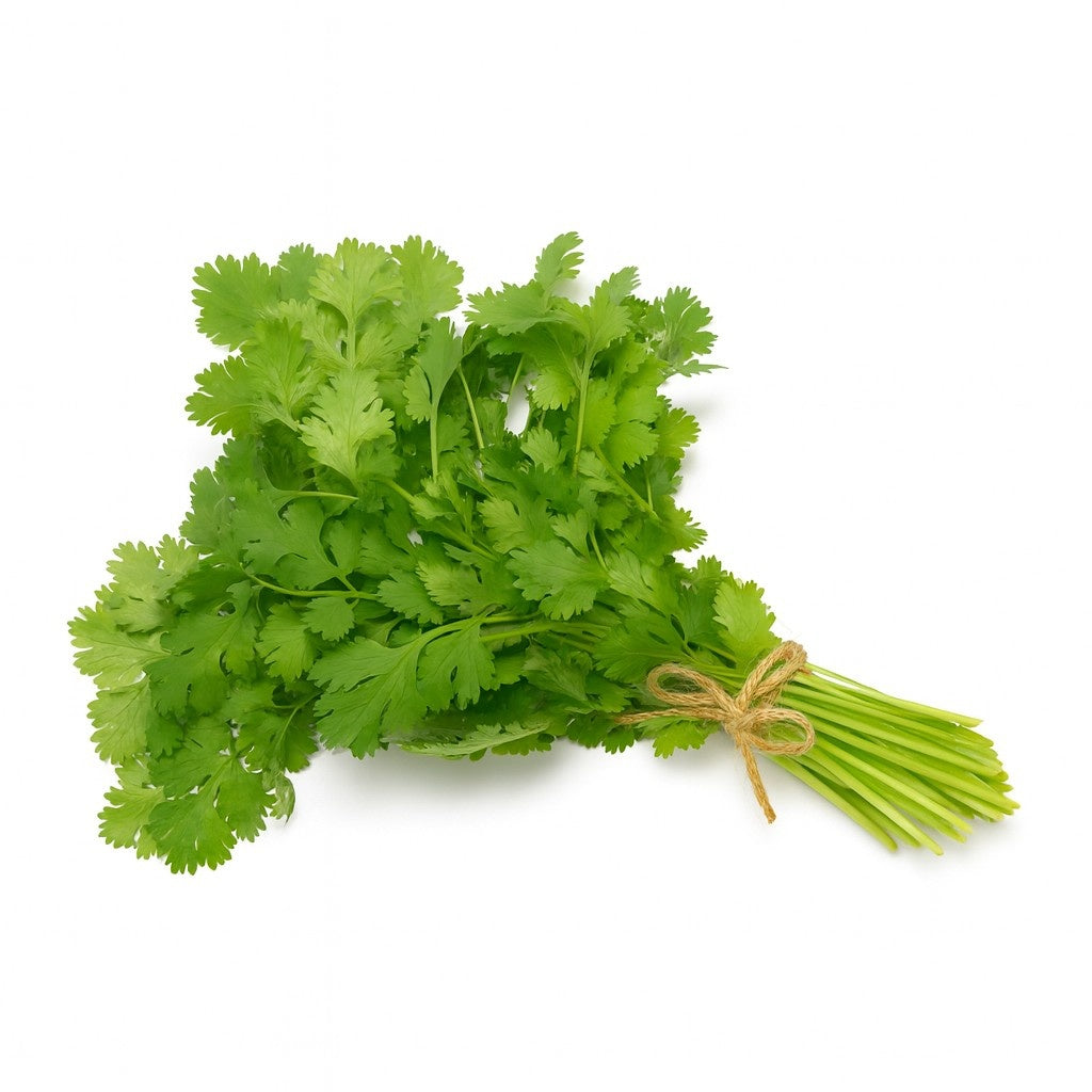 Product 9049237455053 Image