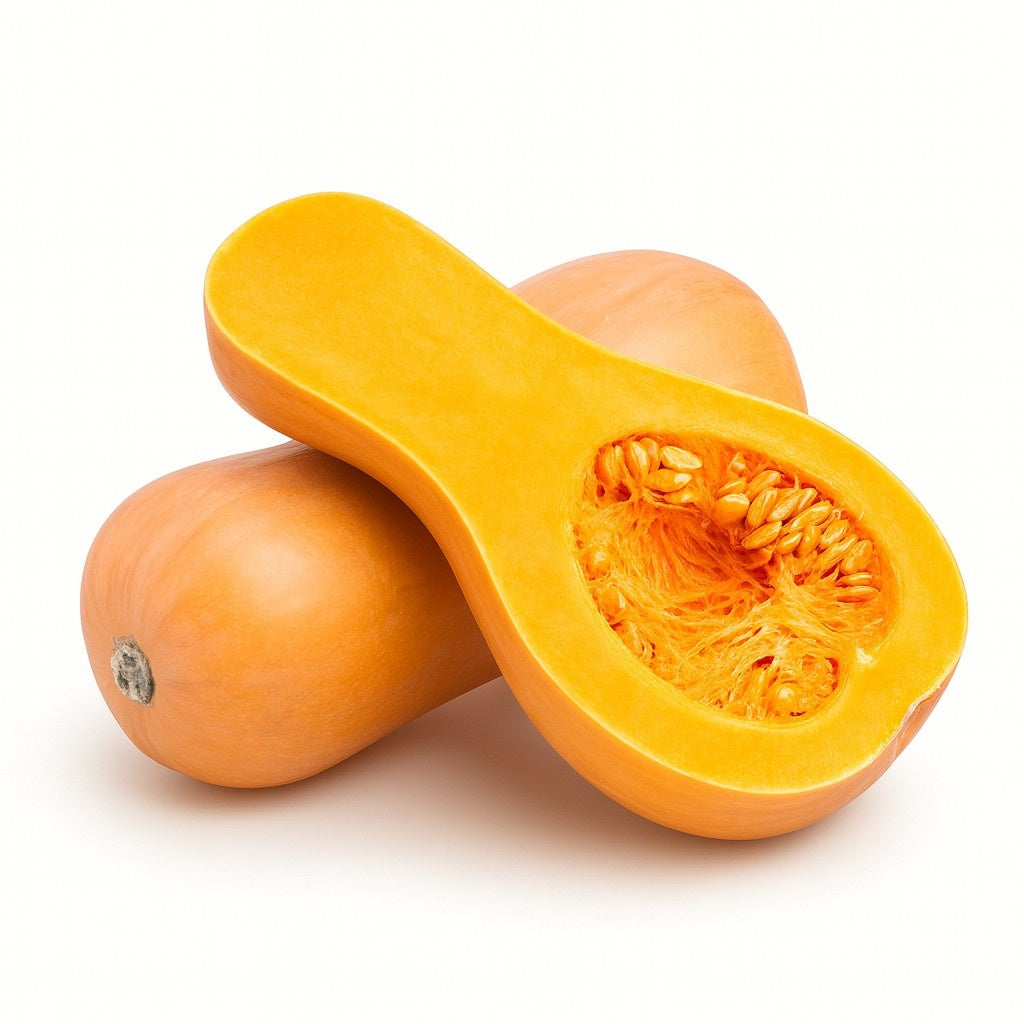 Product 9049238831309 Image