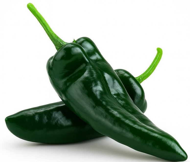 Product 9049240174797 Image