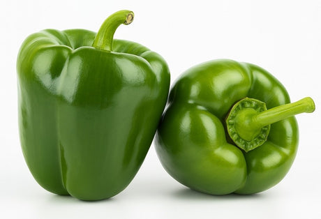 Product 9049240666317 Image