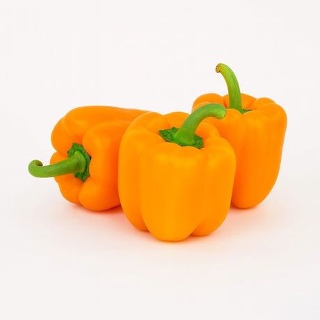 Product 9049240699085 Image