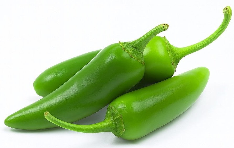 Product 9049237520589 Image