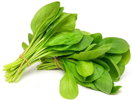 Product 9049292669133 Image