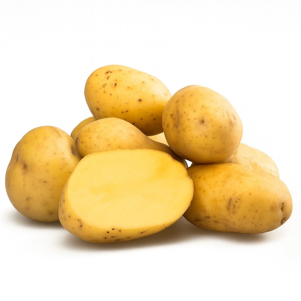 Product 9049235947725 Image