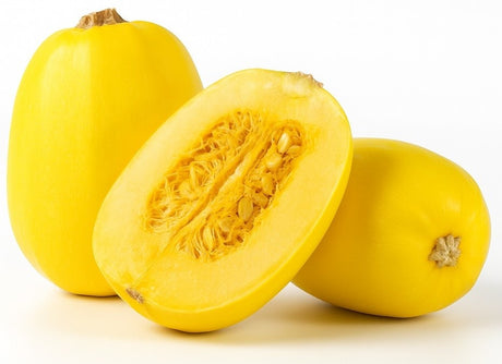 Product 9049238569165 Image