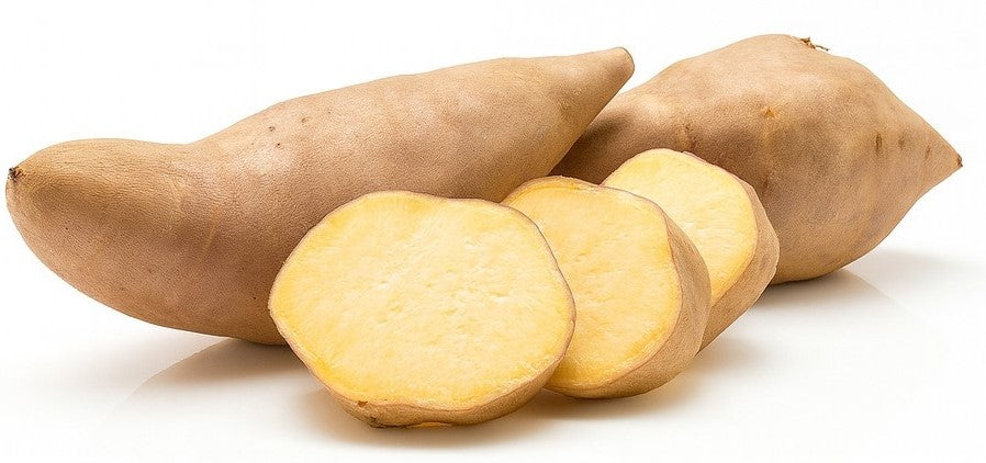 Product 9049240371405 Image