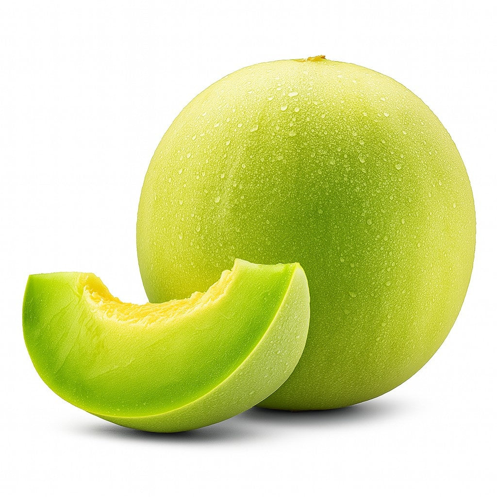Product 9049237913805 Image