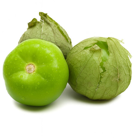 Product 9049240109261 Image