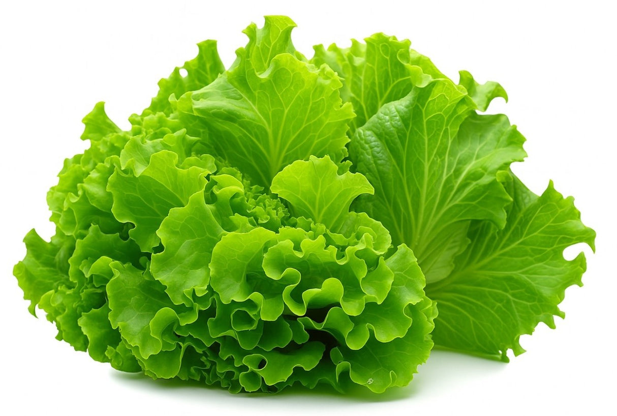 Product 9049239060685 Image