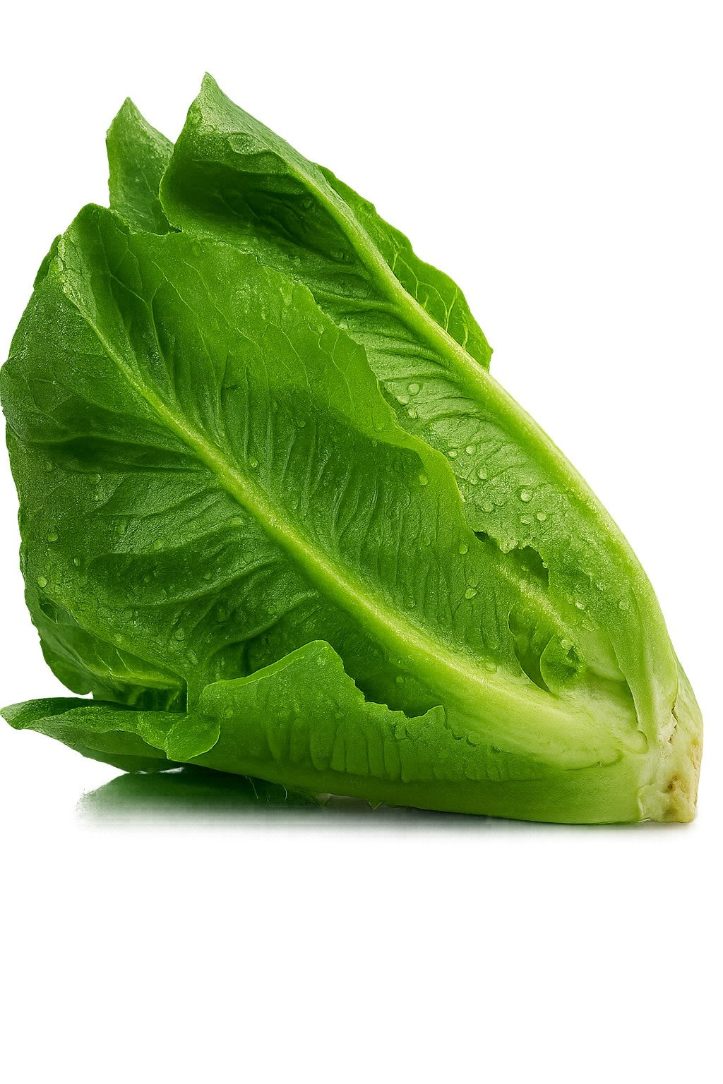 Product 9049240404173 Image