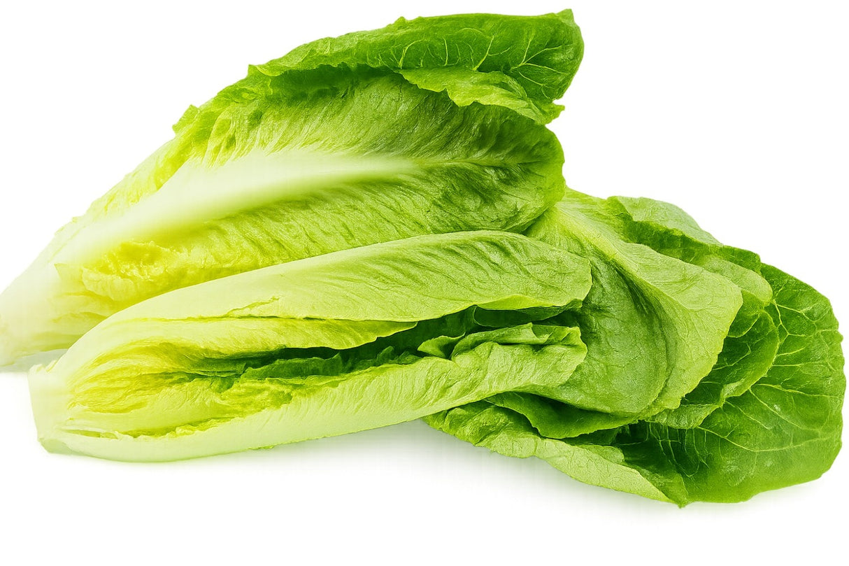 Product 9049308004557 Image