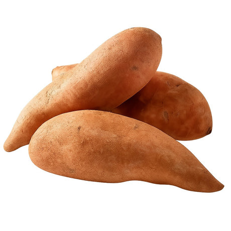 Product 9049240600781 Image