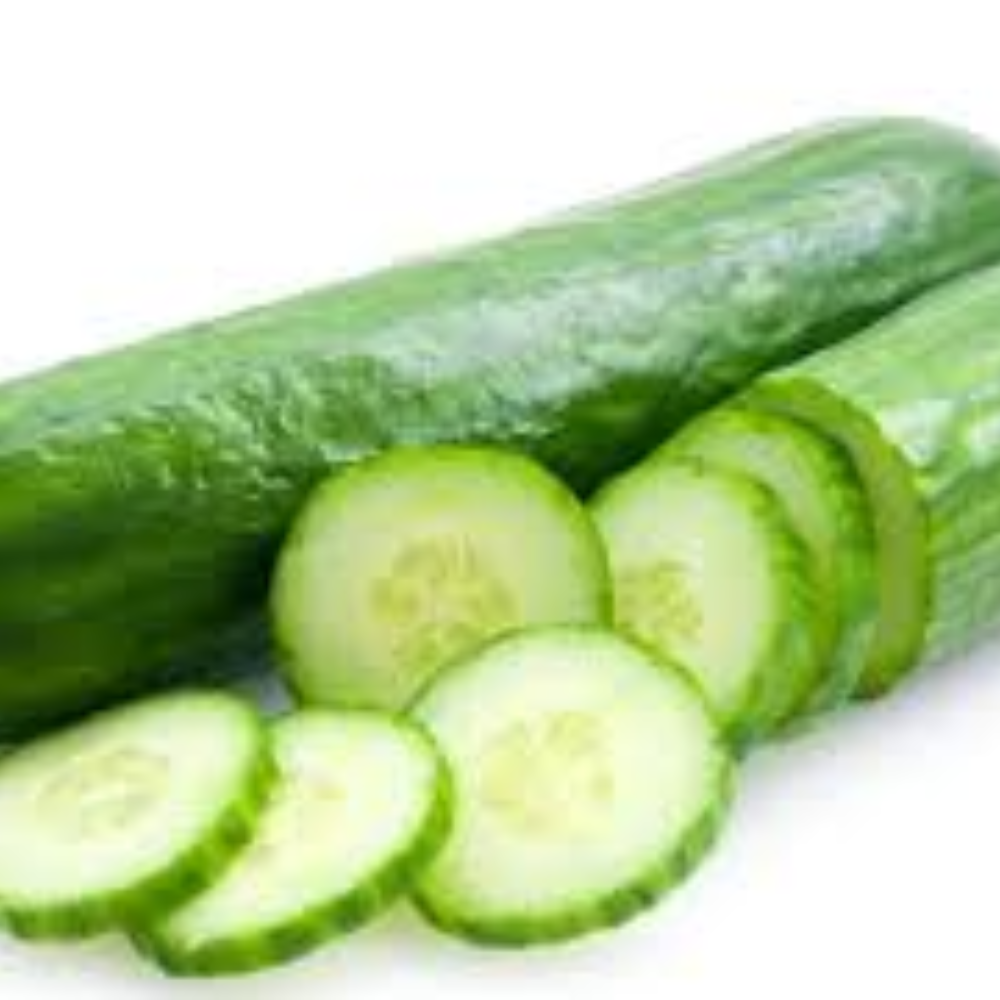 ENGLISH CUCUMBER 3 CTN CASE