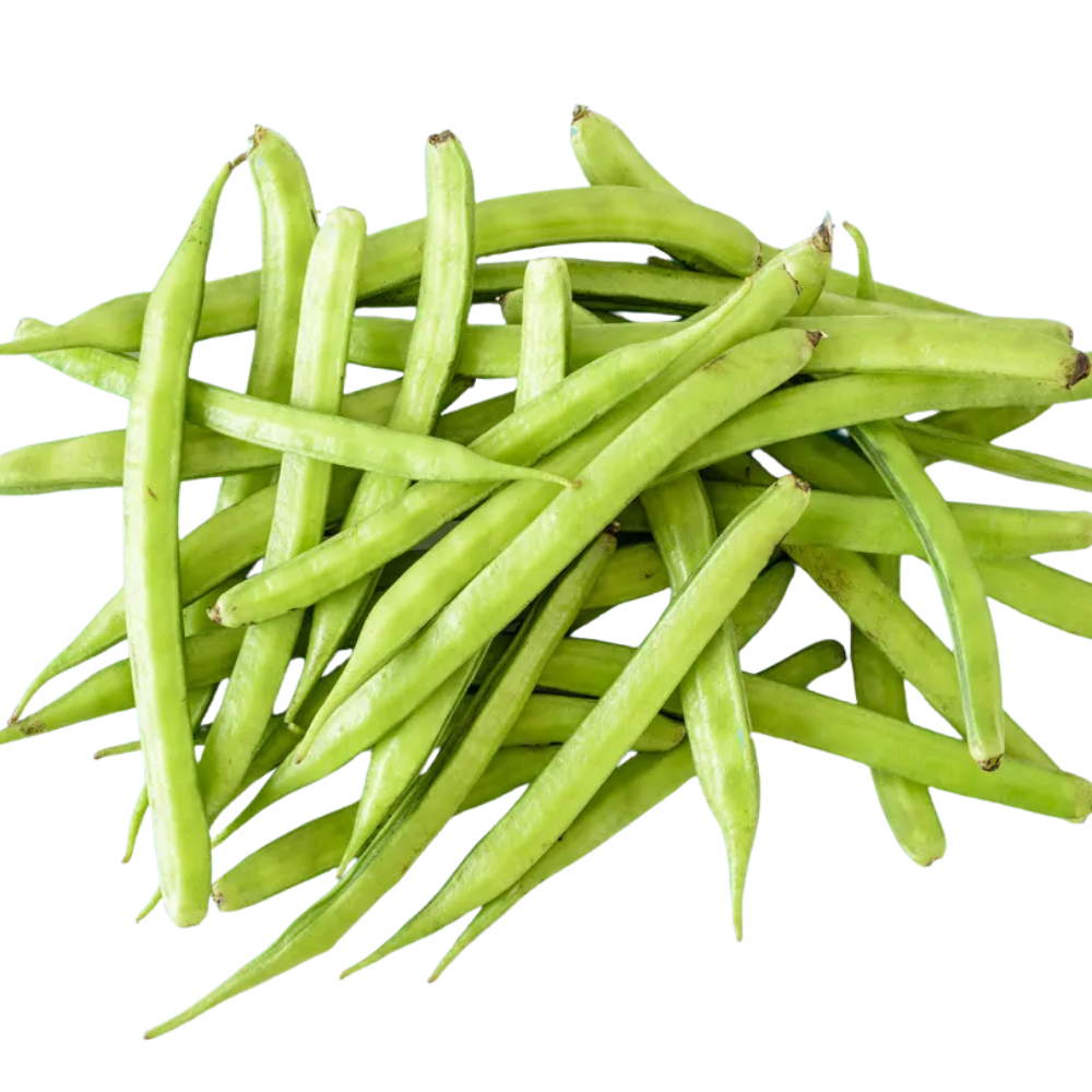 GUAR GUM 5 LBS CASE