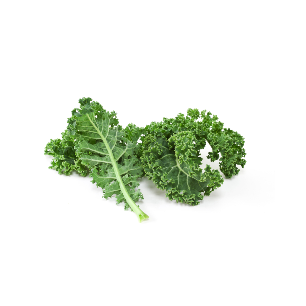 KALE GREEN FRESH BC 24 CTN CS CASE