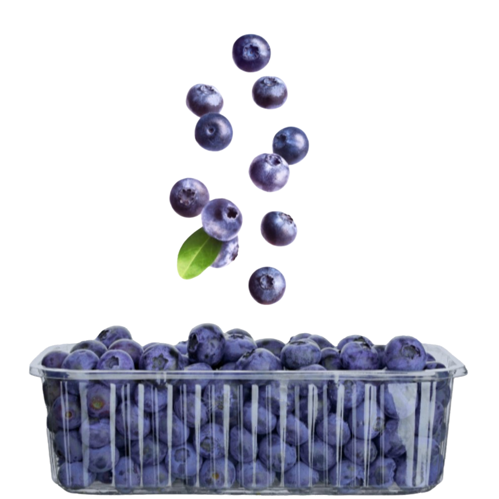 KTK BLUEBERRIES SMOOTHIE IQF 5 LBS
