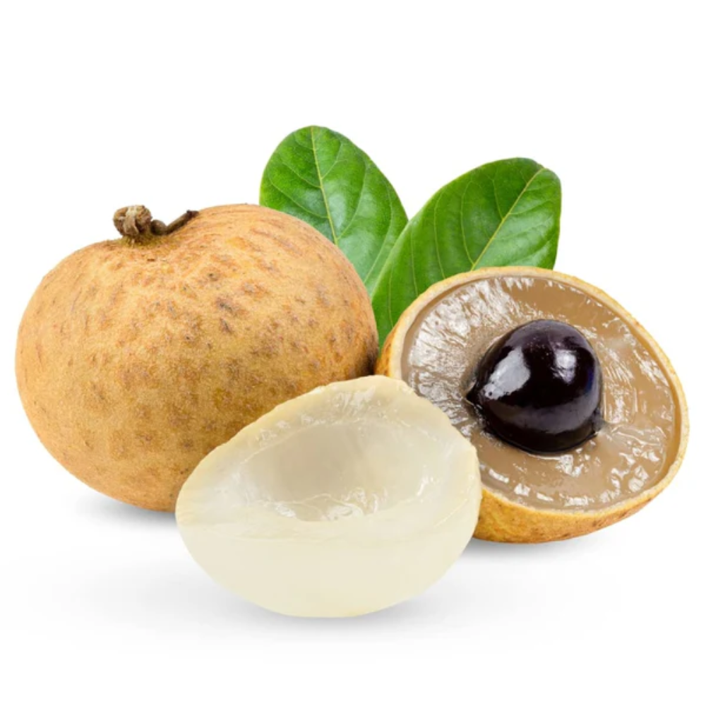 LONGAN FRESH 1 LB LBS