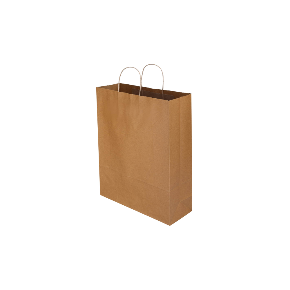 NATURAL PACKING TWISTED HANDLE PAPER BAG 10X5X13 250/CS - Copy 1