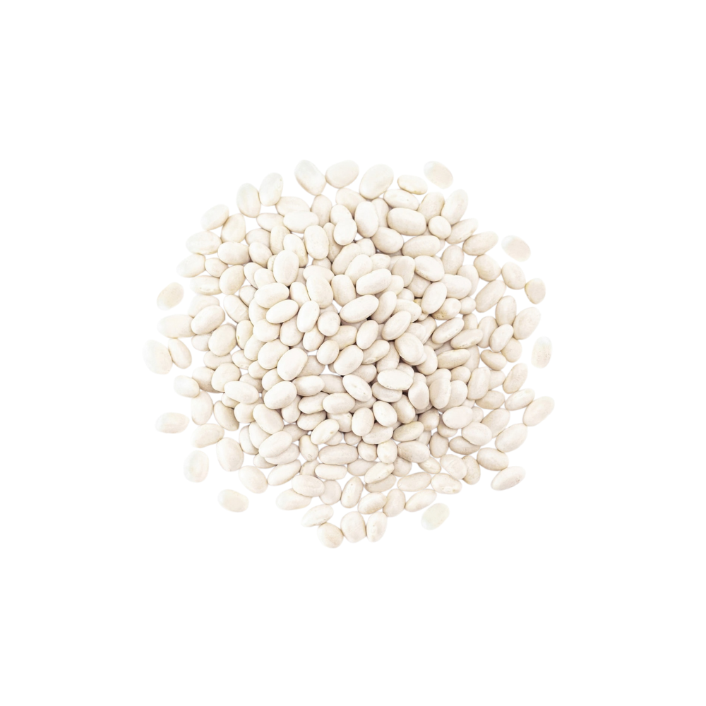 NAVY WHITE BEANS 10 LBS
