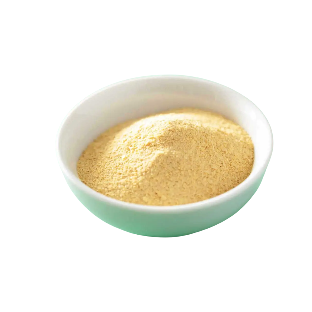 NUTRITIONAL YEAST 100 GMS
