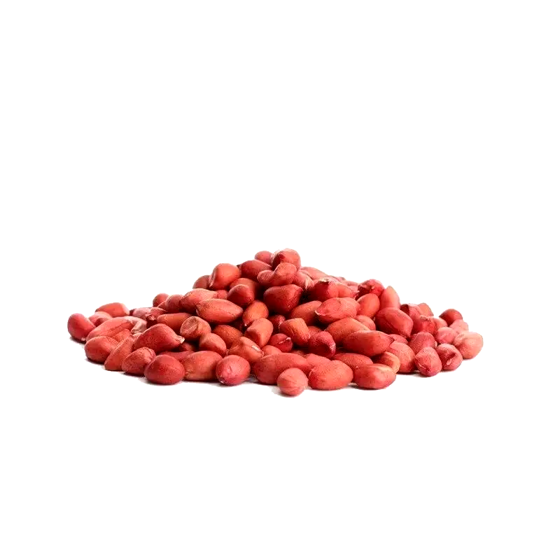 Product 9049291718861 Image