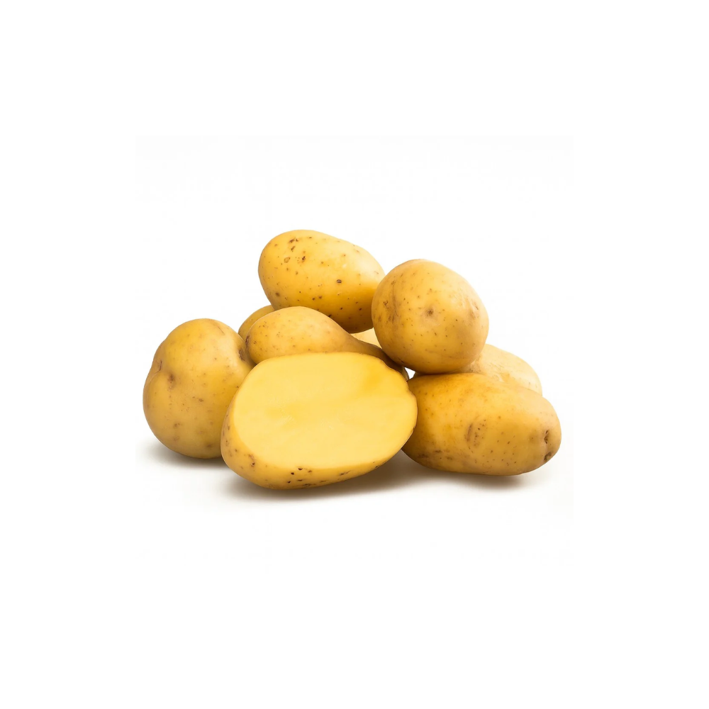 POTATO YUKON GOLD NUGGET BC 50 LBS CS - Copy 1 CASE