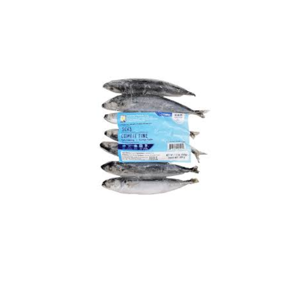 ROUND SCAD (GALUNGGUNG) 6-8 VP 500G