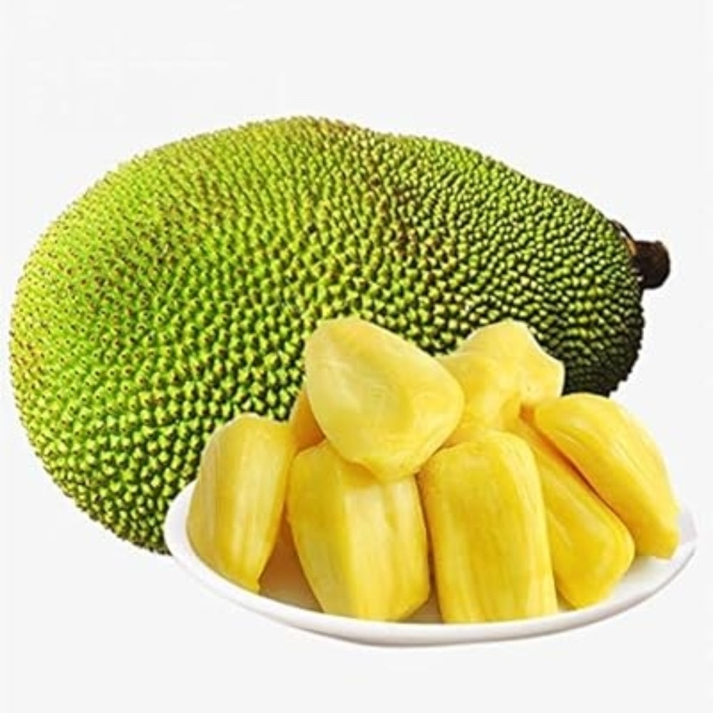 SEEDLESS FRESH JACKFRUIT LBS