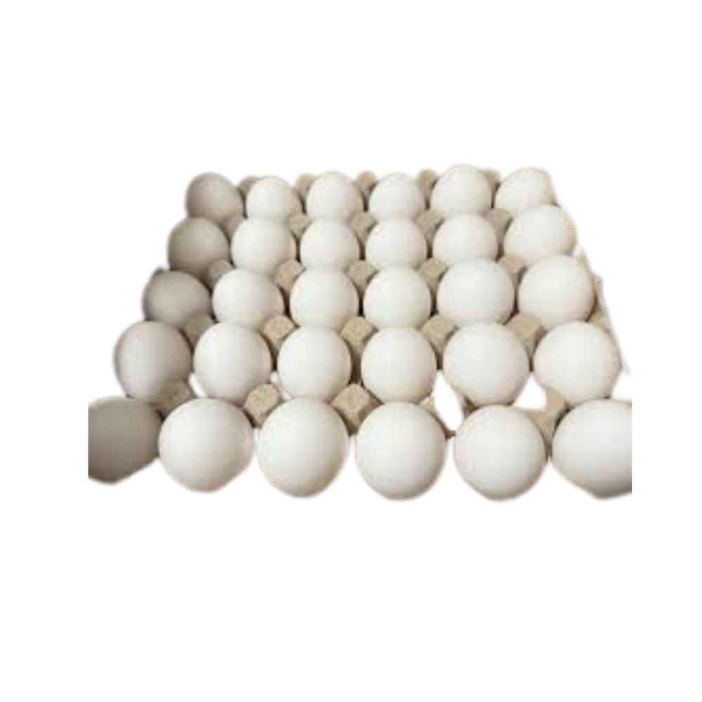 SUNSHINE VALLEY FARMS FREE RANGE EGGS 1 DZ
