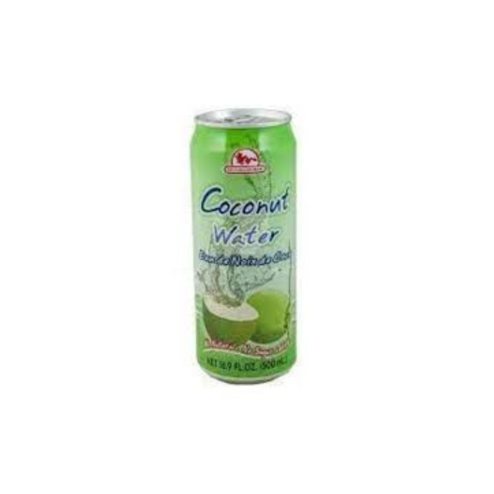 S&D YOUNG COCONUT 500ML