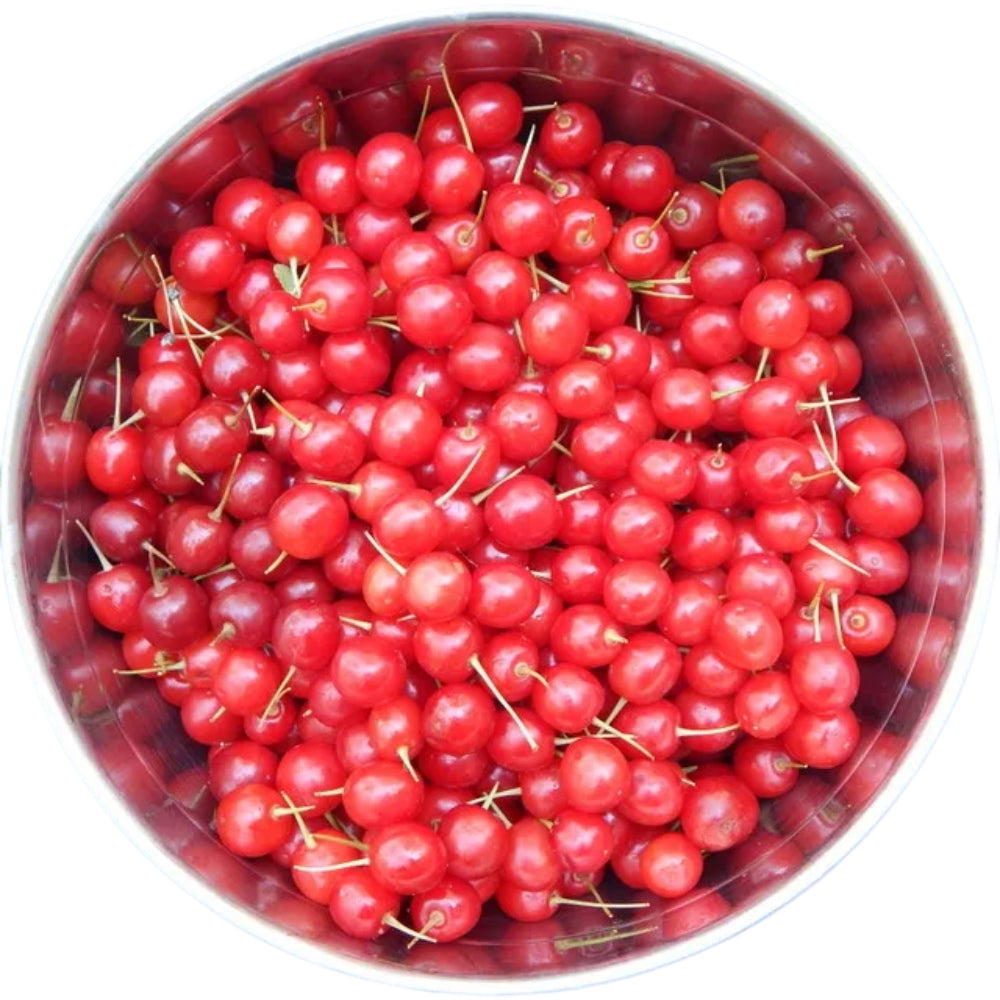 TART CHERRIES (RED SOUR) 10 LBS