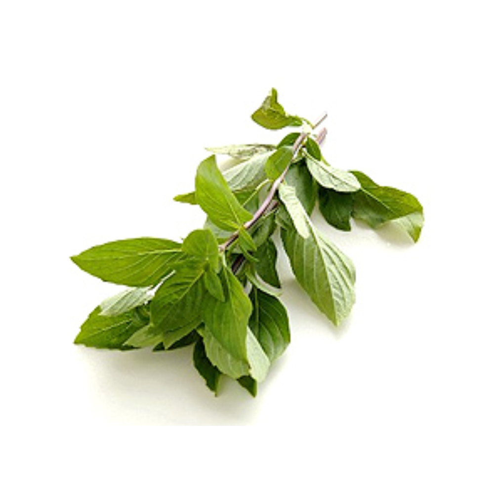 BASIL THAI GREEN FRESH HAWAII 50 GM LBS