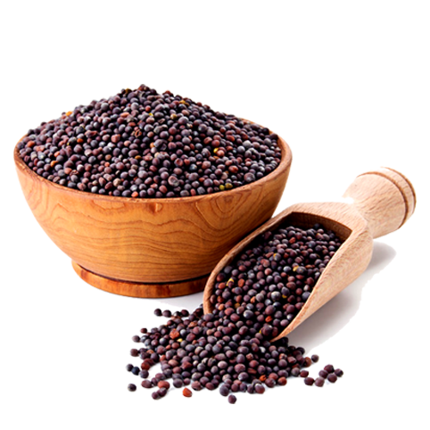 Product 9050909016269 Image