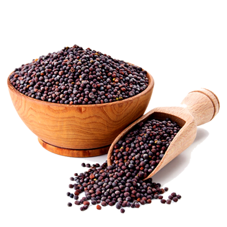 Product 9050909049037 Image