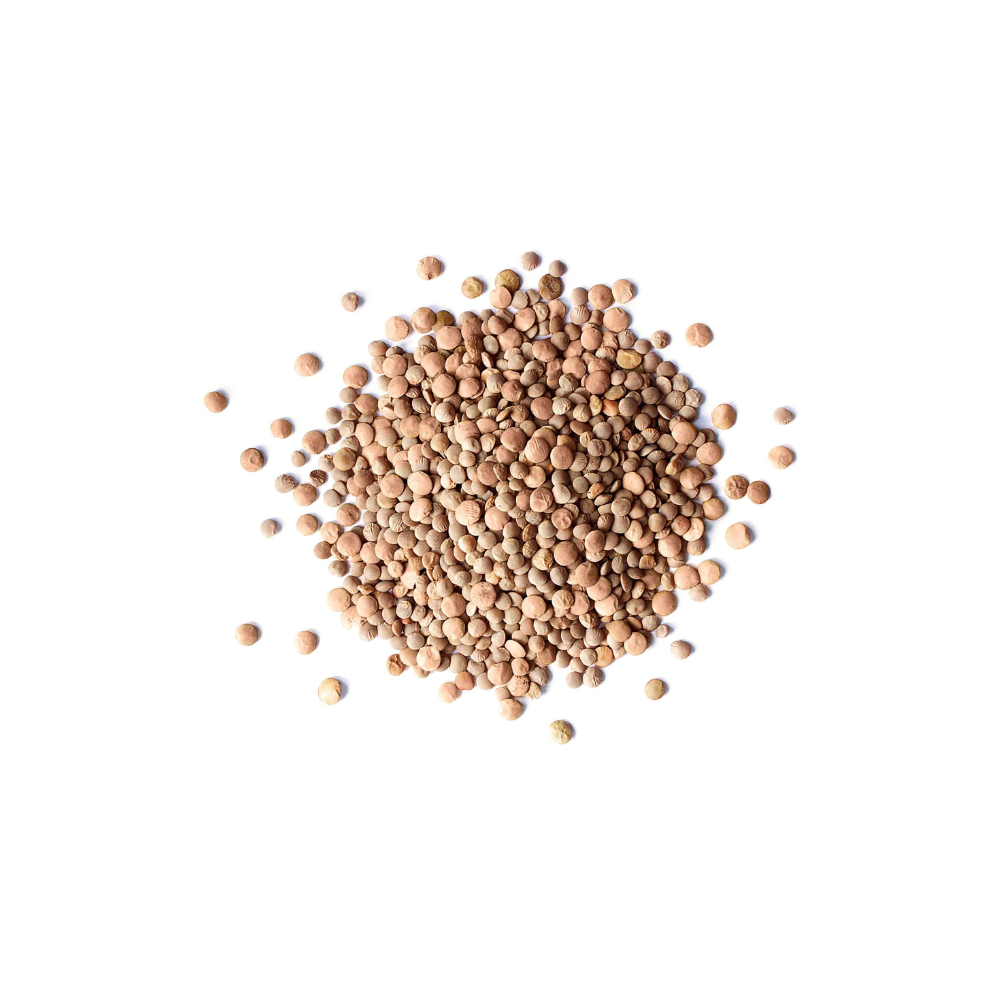 BROWN LENTILS 2 LBS