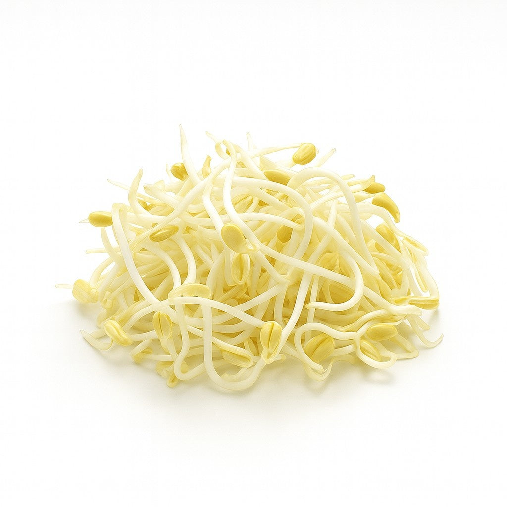 Product 9049240502477 Image