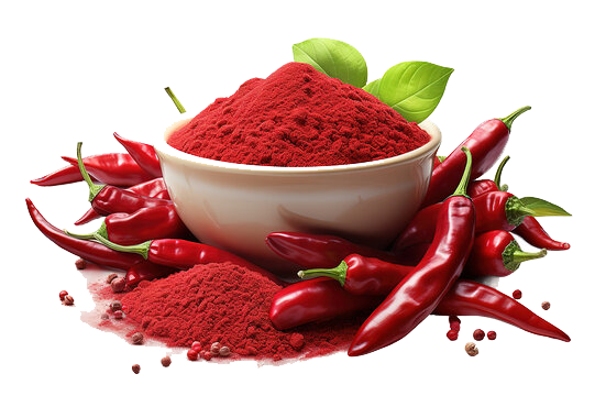 Product 9050911736013 Image