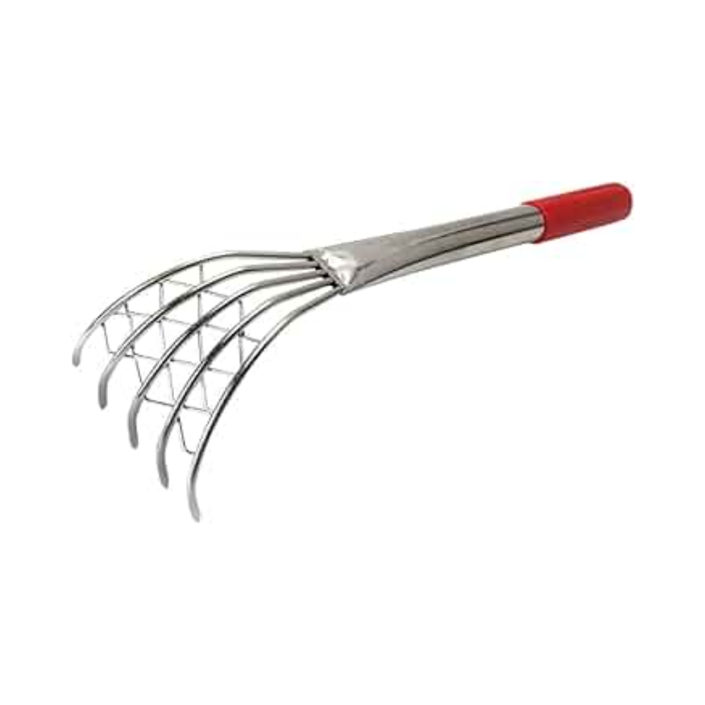 CLAM WHL OW RAKE/HAND GATHERED OCEANWISE 10X1LB CS